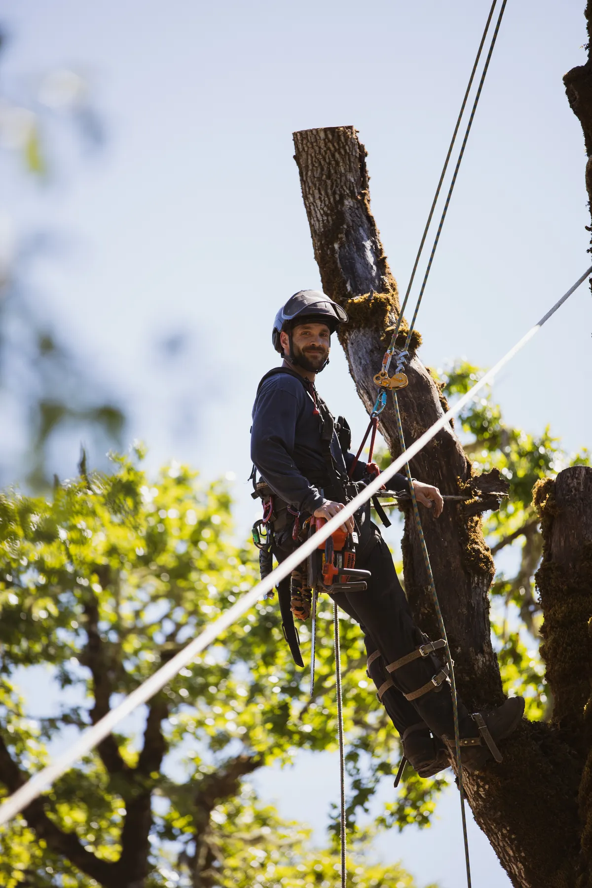 Earley Arboriculture founder